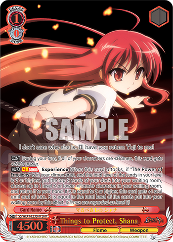 Things to Protect, Shana