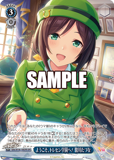 ようこそ、トレセン学園へ！ 駿川たづな