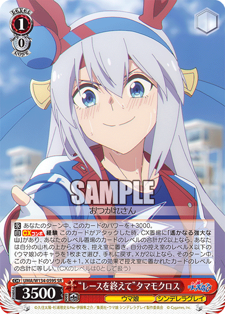 “レースを終えて”タマモクロス