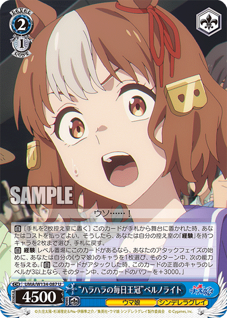 “ハラハラの毎日王冠”ベルノライト