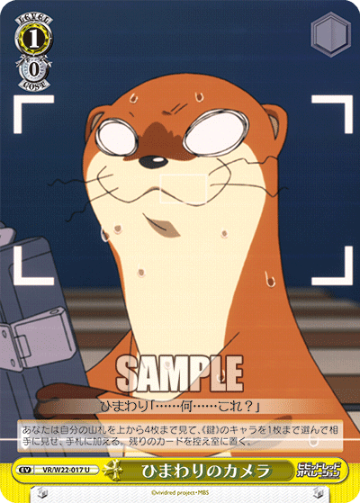 ひまわりのカメラ